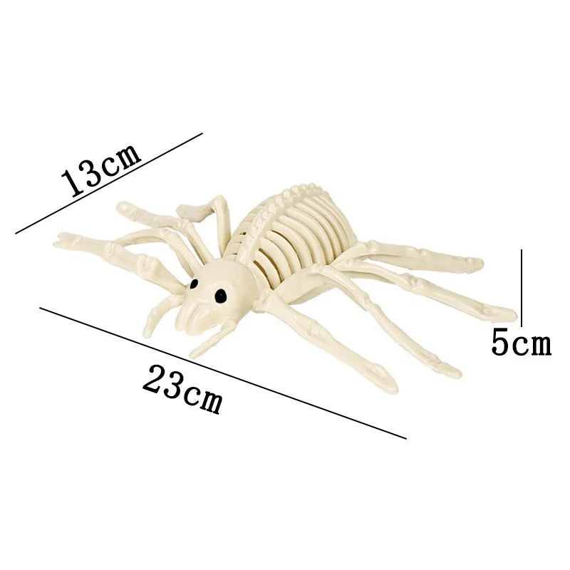 Halloween Skeleton Animal Bones Props – Bat, Spider & Scary Decor Halloween Prop Decoration Babs Spider skeleton