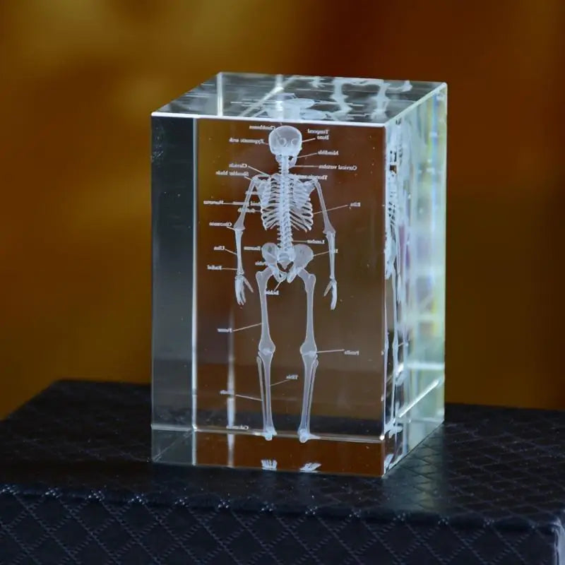 3D Laser Engraved Crystal Skeleton Cube Human Anatomy Paperweight Crystal Engraved Paperweight Babs
