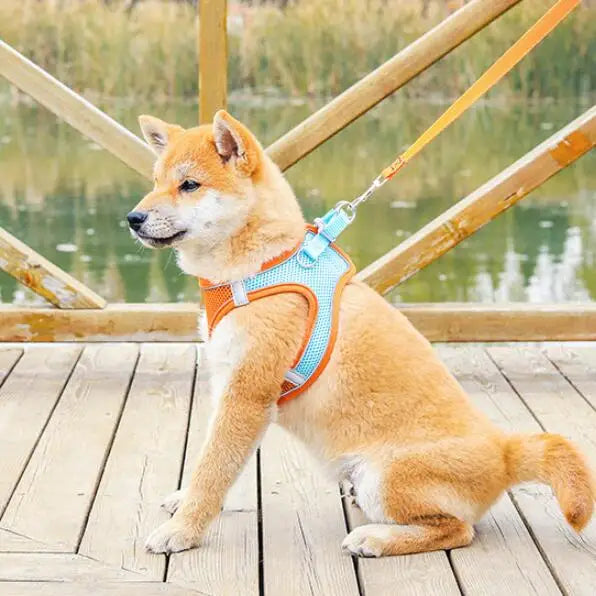 Reflective Dog Harness Vest with Leash | XXXS–L All Breeds Dog Harness Vest Babs