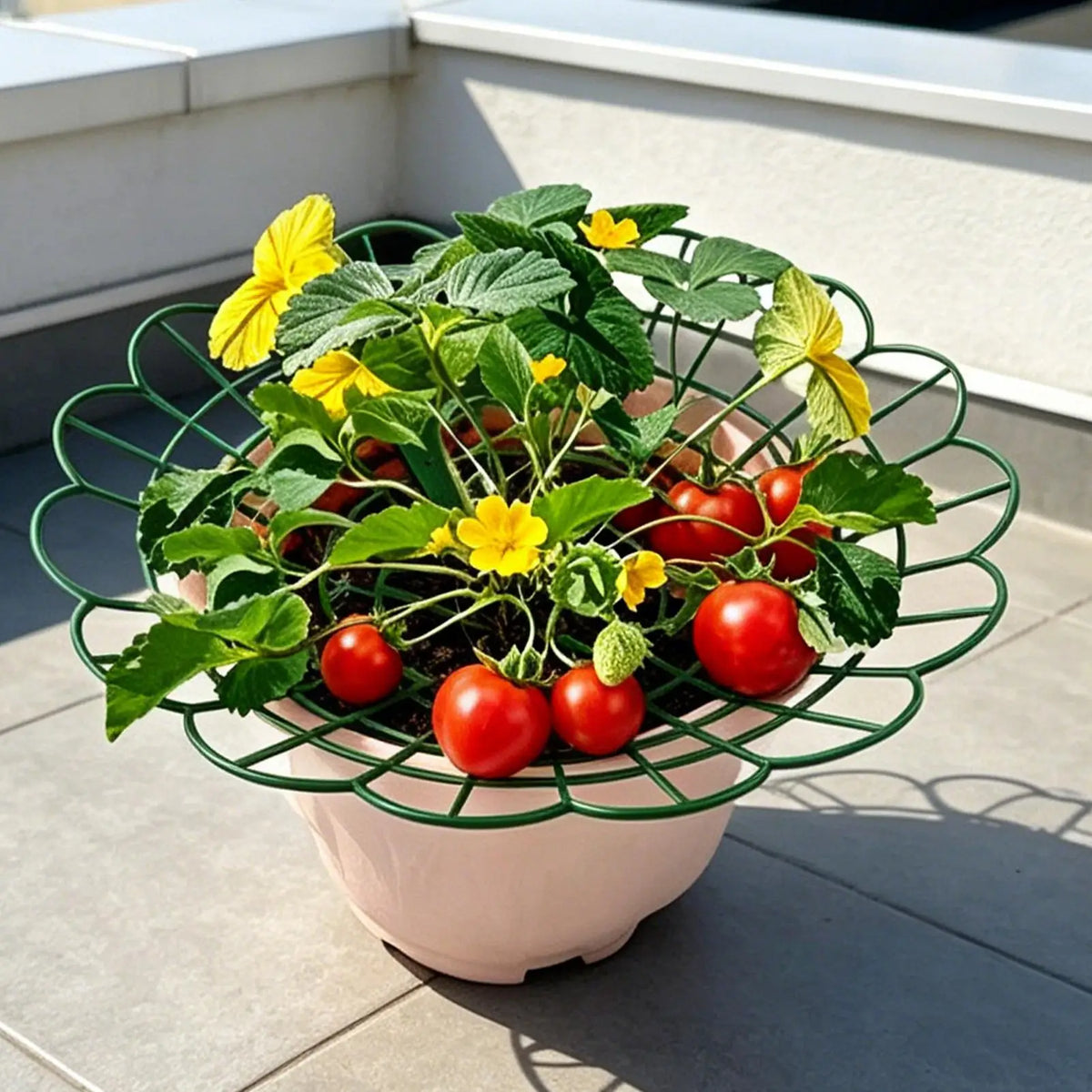 Strawberry & Watermelon Garden Support Frame | Planting Rack Garden Support Frame Babs