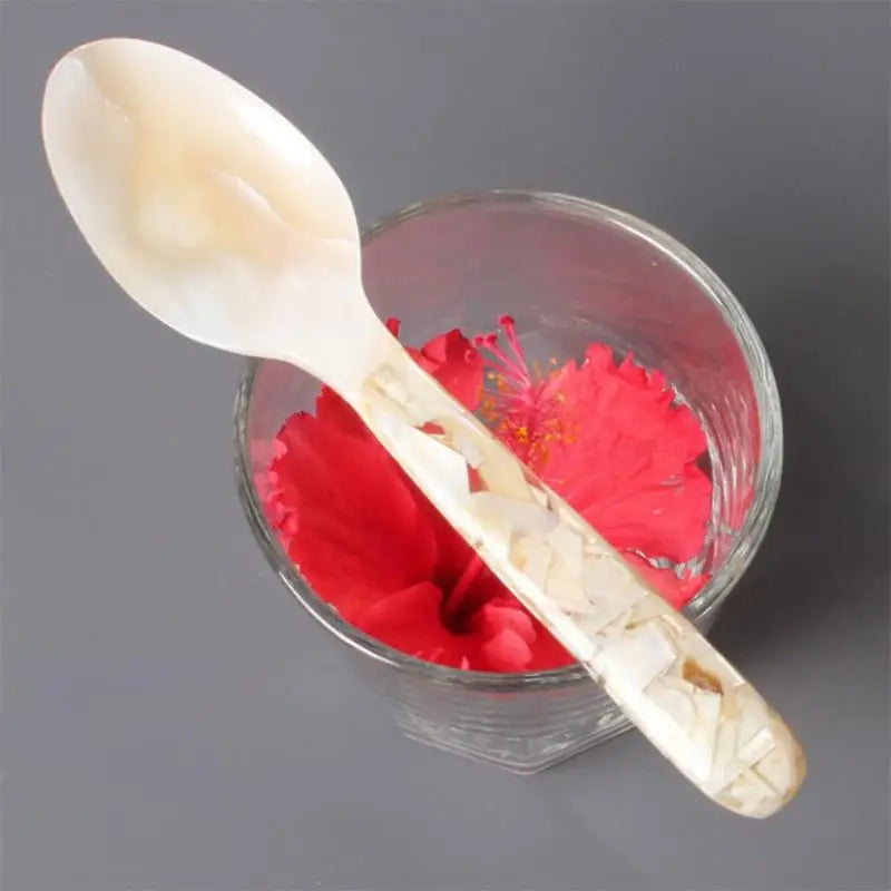 Conch Shell Spoon 15cm – Dessert, Coffee & Dinner Spoon Decorative Dining Spoon Babs white