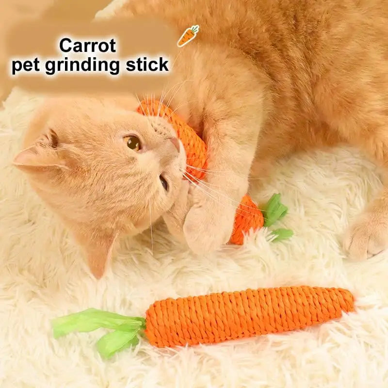 Carrot Cat Teaser Toy – Sisal, Sound & Teeth Grinding Fun Cat Teaser Toy Babs