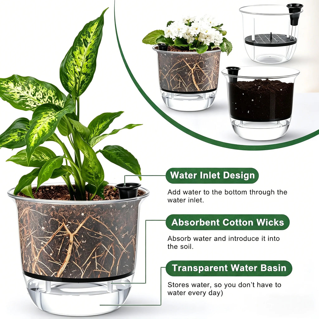 2-Pack Clear Self-Watering Indoor Plant Pots with Deep Reservoir Self-Watering Planter Babs