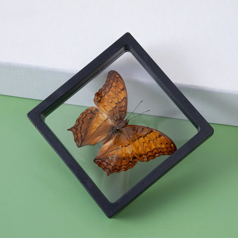10Pcs Floating Display Cases – Stackable Jewelry & Coin Storage Floating Display Case Babs