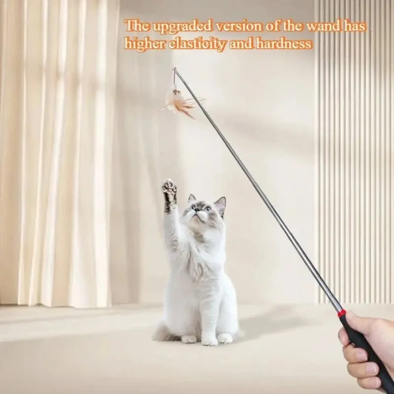 HOMEFISH Retractable Cat Wand Toy – Interactive, 86cm Interactive Cat Toy Babs