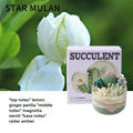 Soy Wax Aromatherapy Candle – Succulent Cactus Scented Décor Aromatherapy Candle Babs Mulan