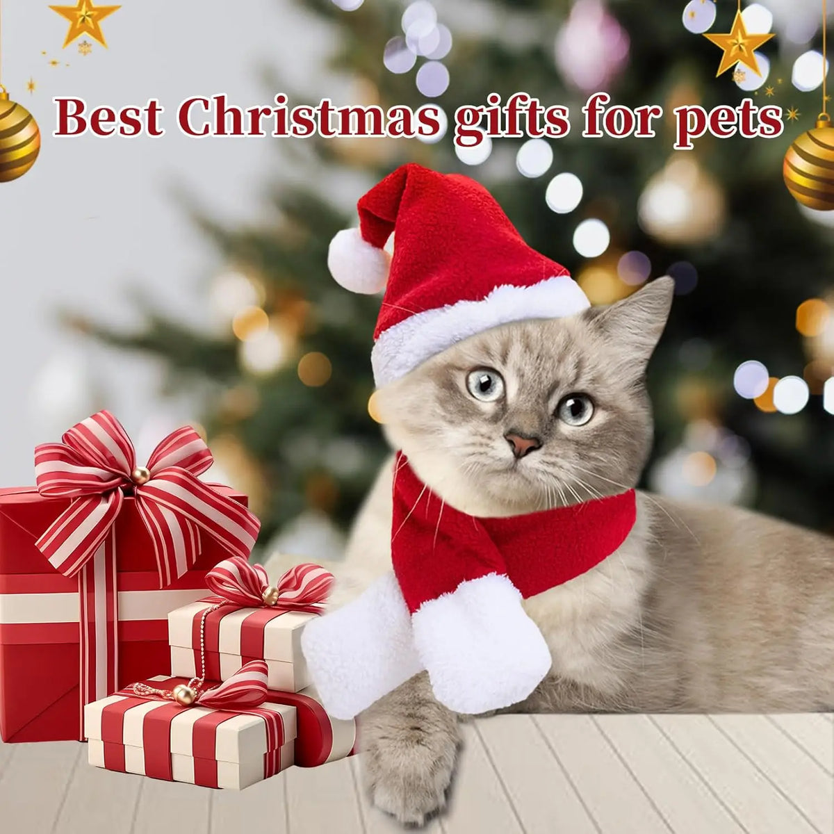 Christmas Santa Hat & Scarf Set for Cats & Small Dogs Pet Costume Set Babs