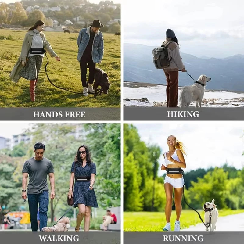 HOMEFISH Hands-Free Dog Leash – Reflective & Elastic Waist Bag Hands-Free Dog Leash Babs