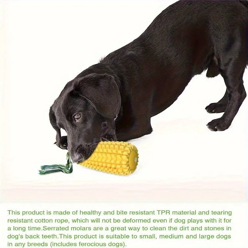 Ultra-Durable Squeaky Chew Toy for Aggressive Chewers Dog Chew Toy Babs