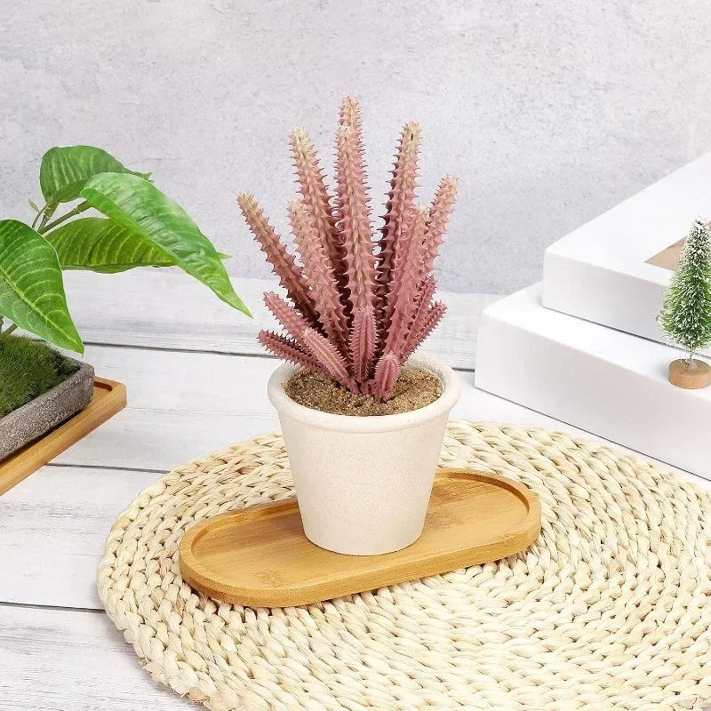 Bamboo Storage Tray – Tea Coaster, Jewelry & Plant Saucer Bamboo Storage Tray Babs