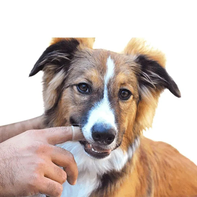 Pet Finger Toothbrush – 360° Soft Bristle Dental Care for Pets Pet Finger Toothbrush Babs