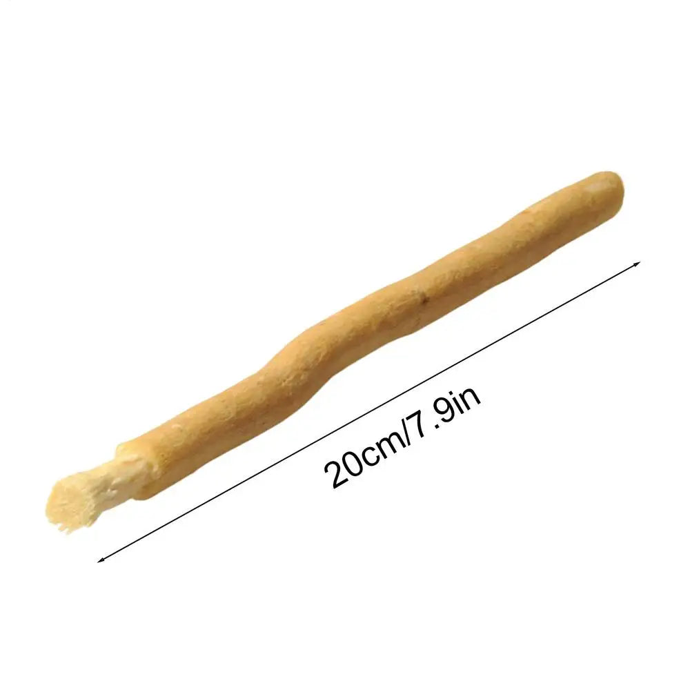 Natural Miswak Teeth Cleaning Sticks – Eco Travel Toothbrush Natural Toothbrush Stick Babs 1pcs