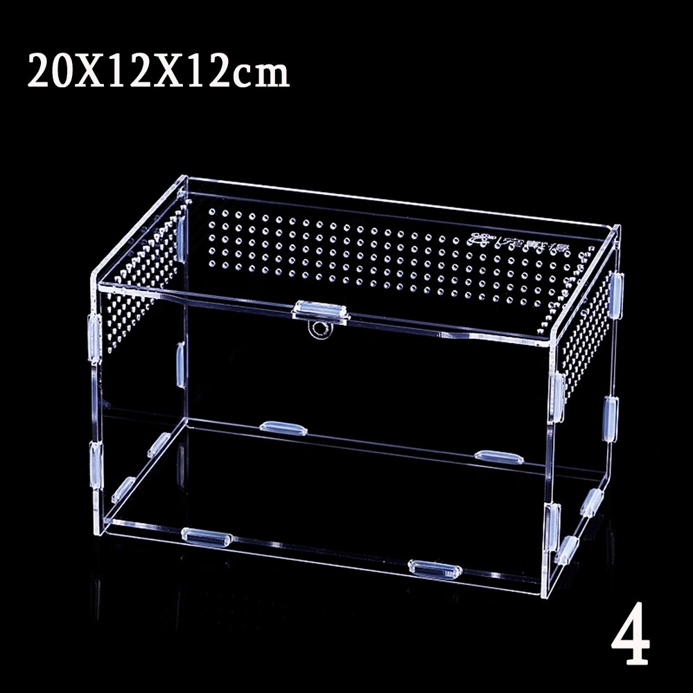 Acrylic Reptile Breeding Box – Snake, Lizard & Insect Terrarium Reptile Breeding Box Babs 20X12X12cm