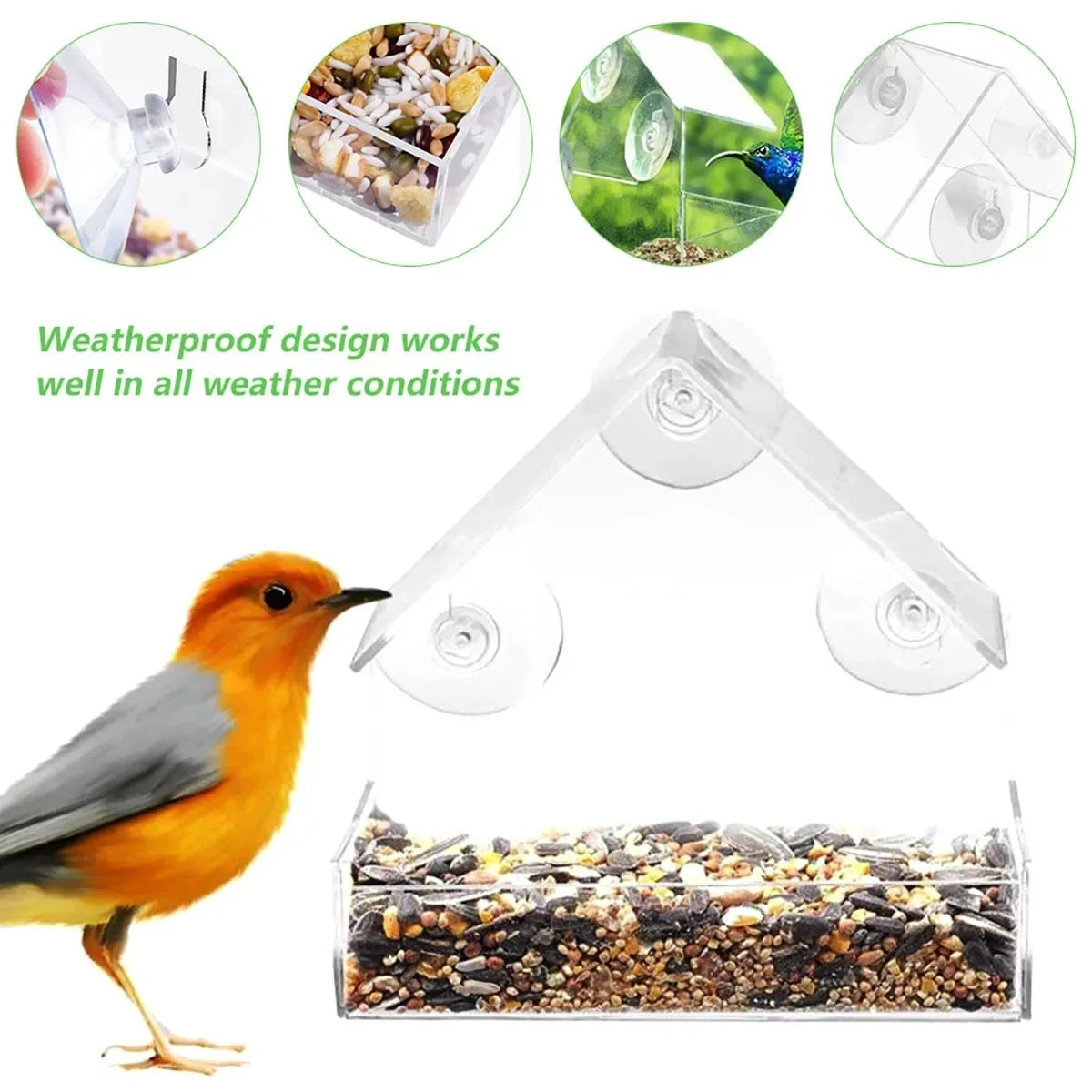 Transparent Window Wild Bird Feeder with Suction Cups Window Bird Feeder Babs