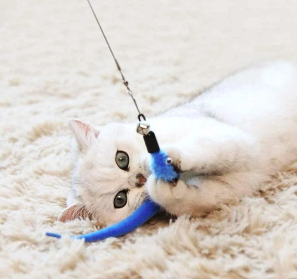 11-Piece Replacement Cat Feather Toy Set & Retractable Wand Cat Feather Toy Set Babs