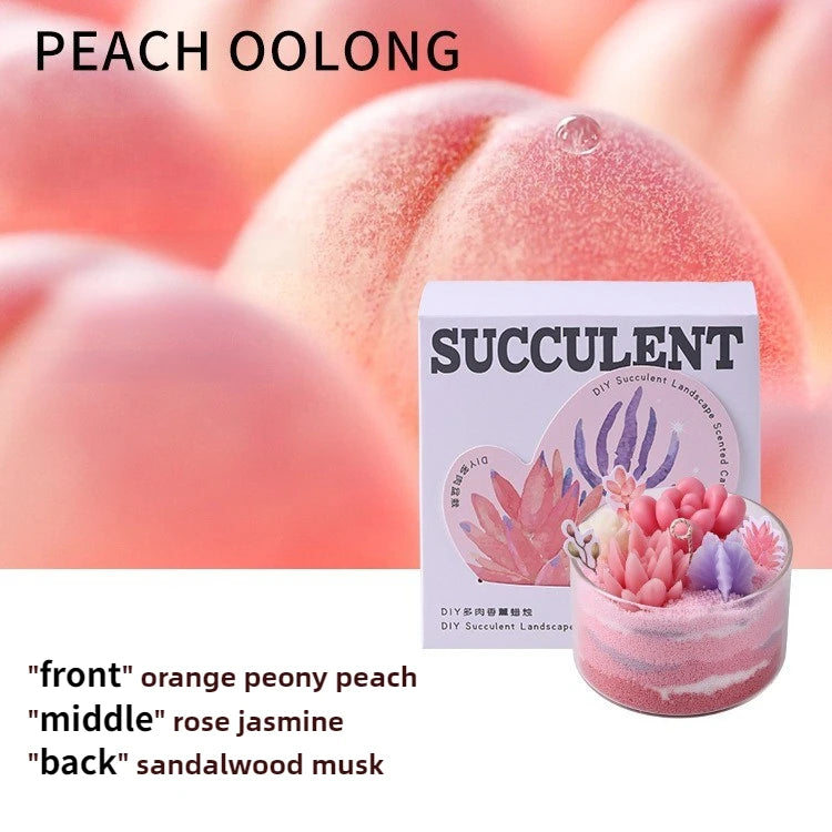 Soy Wax Aromatherapy Candle – Succulent Cactus Scented Décor Aromatherapy Candle Babs peach oolong