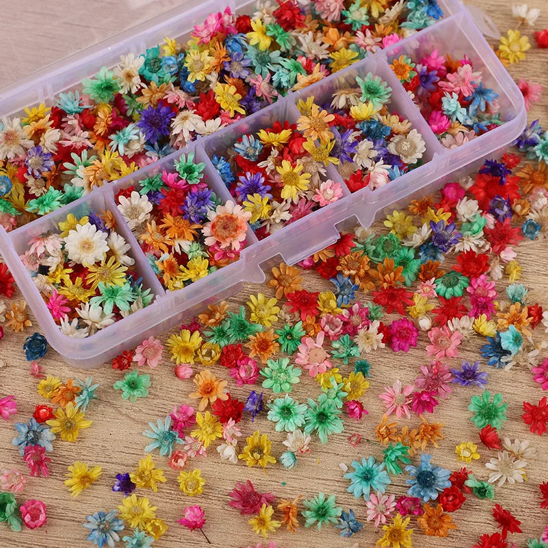 Dried Pressed Flowers 140 Heads – Resin, Nail Art & DIY Crafts Dried Pressed Flowers Babs