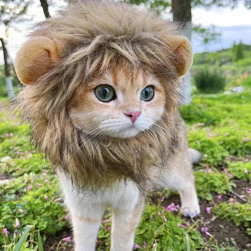 Lion Mane Pet Hat – Cat & Dog Halloween Christmas Costume Pet Costume Hat Babs