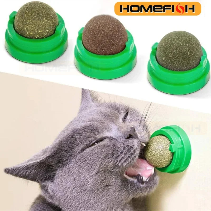 Natural Catnip Wall Stick-On Ball Toy & Scratcher for Cats Cat Catnip Toy Babs