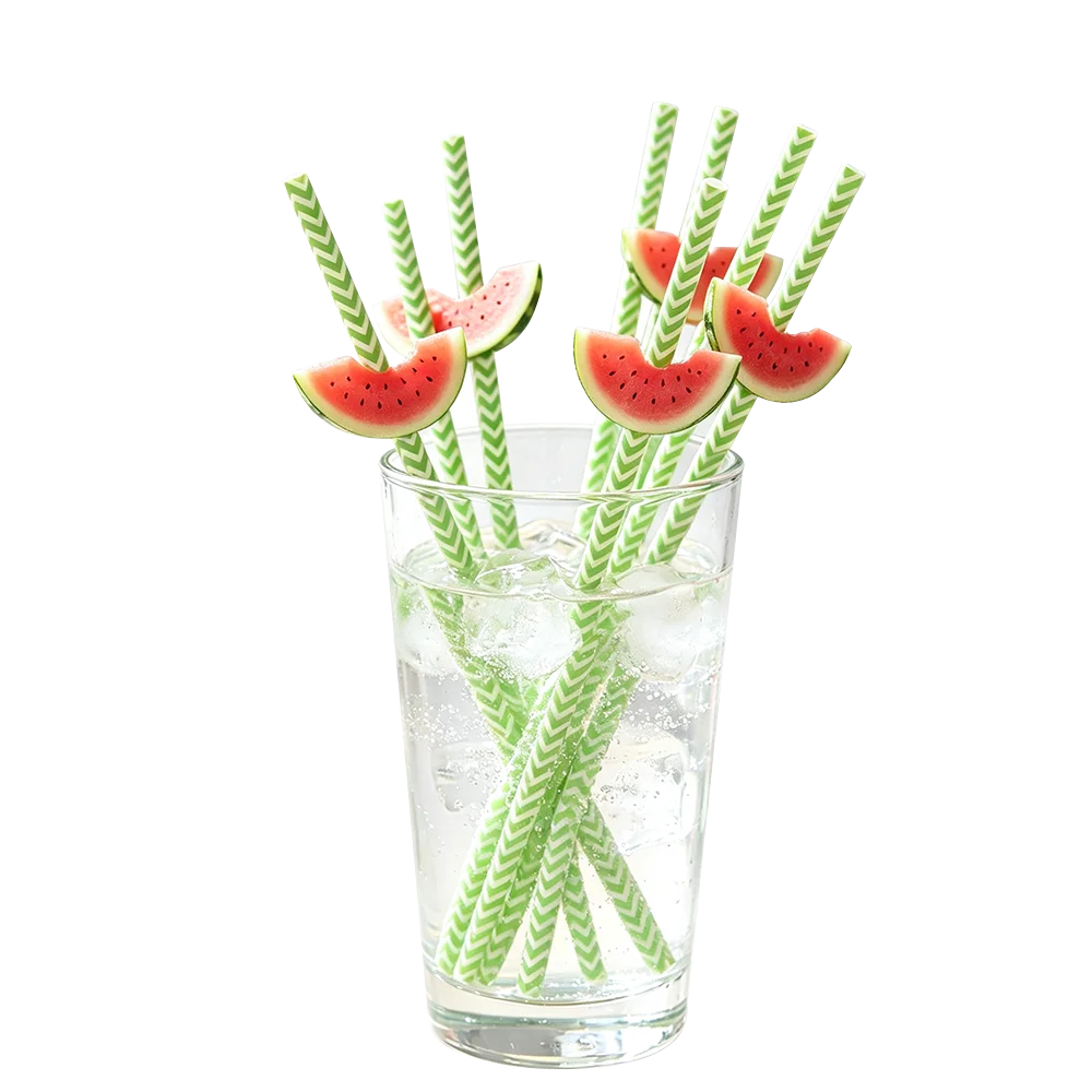 Watermelon Paper Straws – Disposable Party Straws 10/20/50 Pack Disposable Party Straws Babs B 10pcs