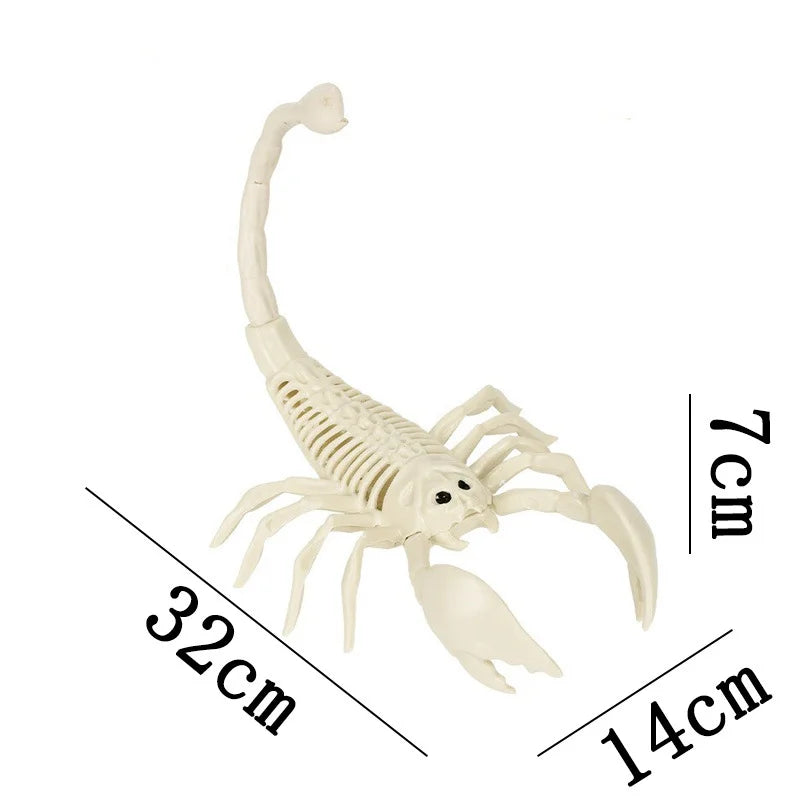 Halloween Skeleton Animal Bones Props – Bat, Spider & Scary Decor Halloween Prop Decoration Babs Scorpion skeleton