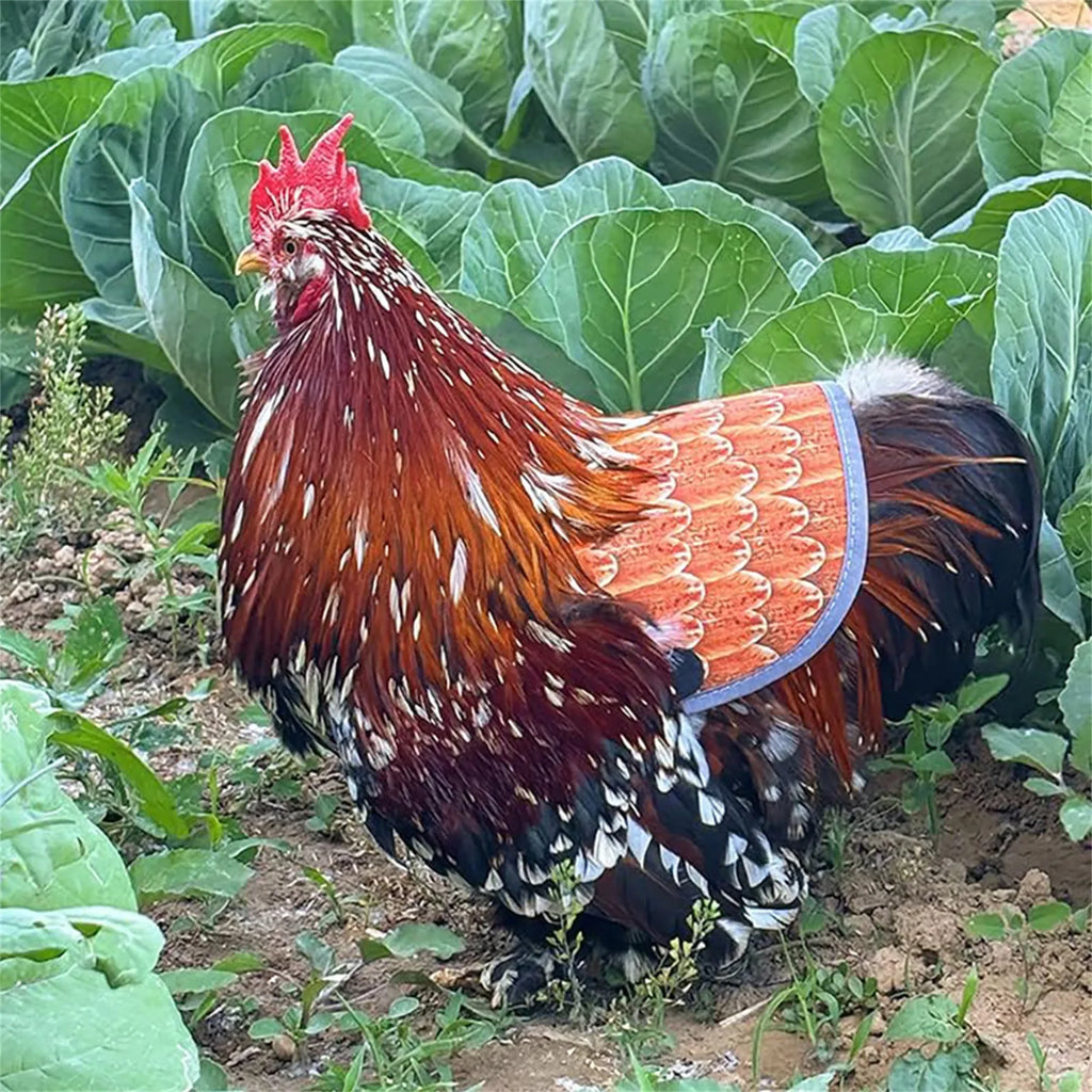 Chicken Saddle for Hens – Adjustable Breathable Feather Protector Hen Saddle Apron Babs
