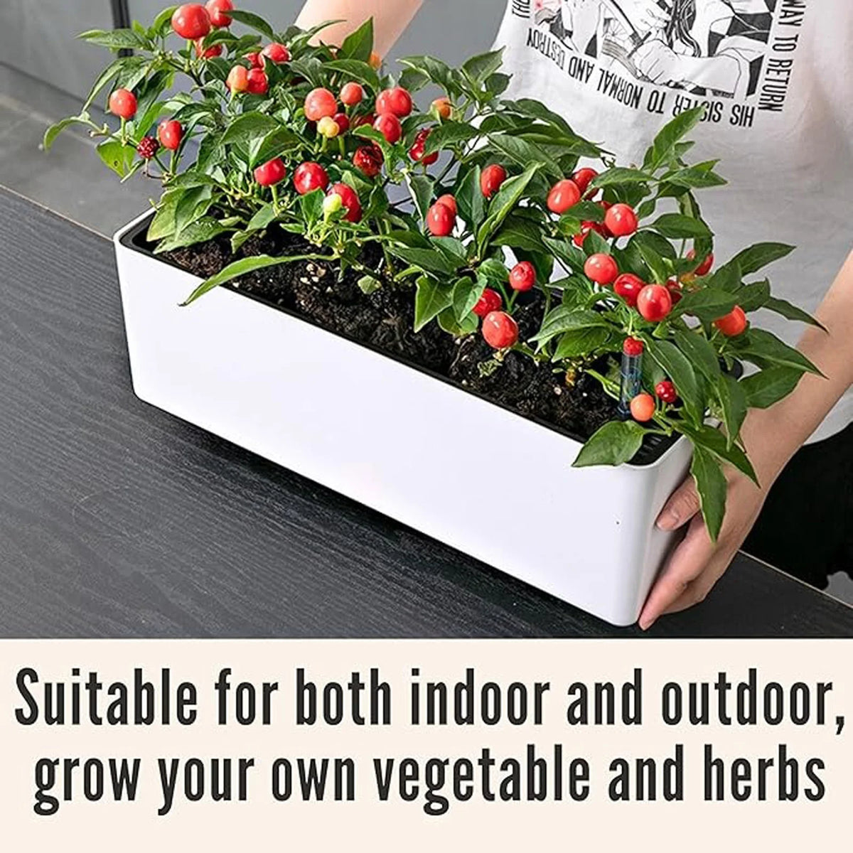 Self-Watering Planter Pot with Water Level Indicator – Indoor & Out Self-Watering Planter Babs