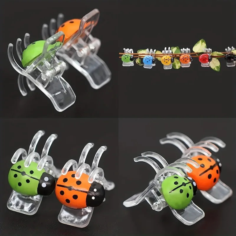 6pcs Ladybug Orchid Clips – Colorful Plant Support for Vines Plant Support Clips Babs