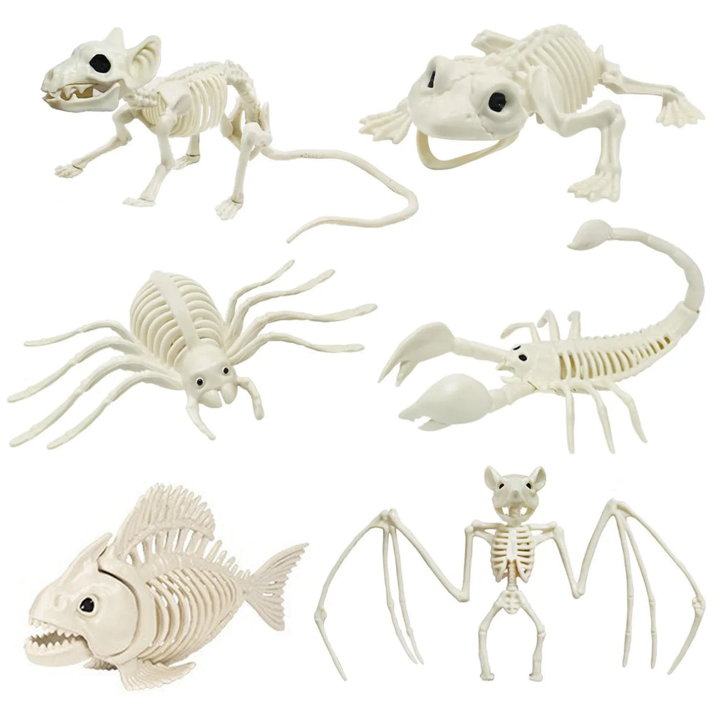 Halloween Skeleton Animal Bones Props – Bat, Spider & Scary Decor Halloween Prop Decoration Babs