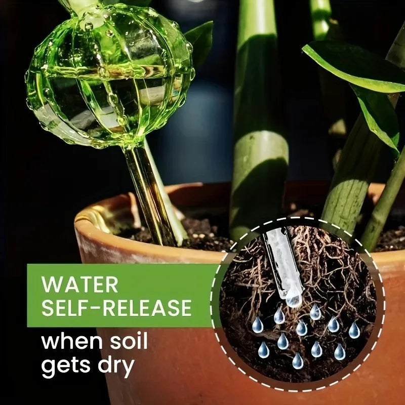 Cactus Self-Watering Bulbs – Automatic Plant Watering Spikes 2pc Plant Watering Spikes Babs