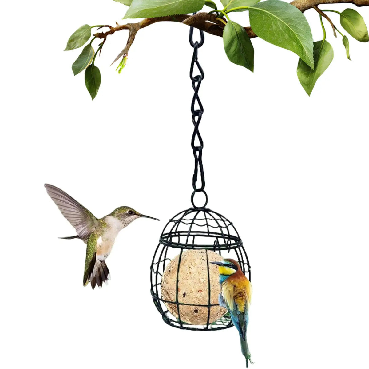 Hanging Metal Suet Ball Bird Feeder – Garden Wild Bird Feeder Suet Ball Bird Feeder Babs