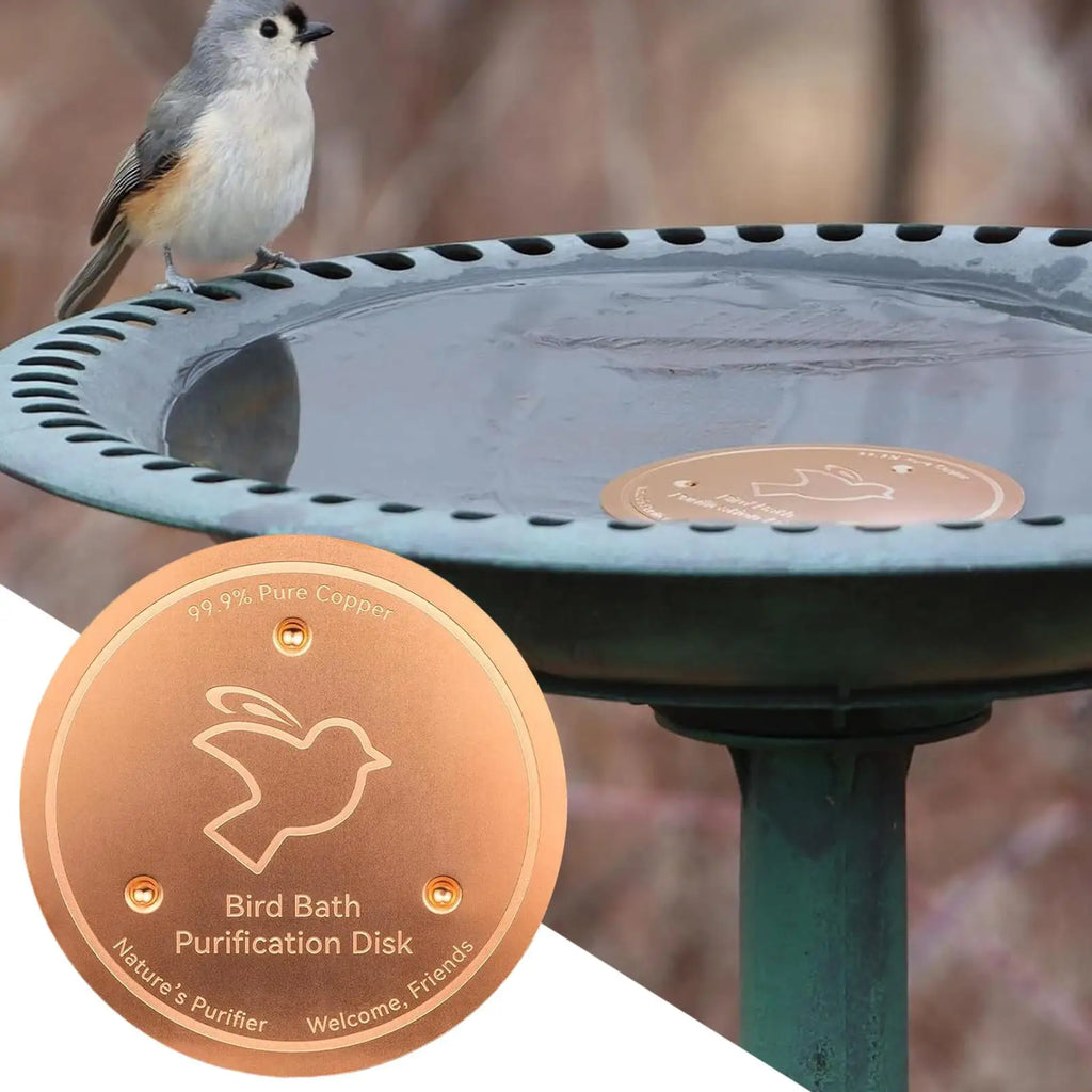 Copper Bird Bath Disk | Triple-Point Outdoor Water Bowl Bird Bath Dish Babs