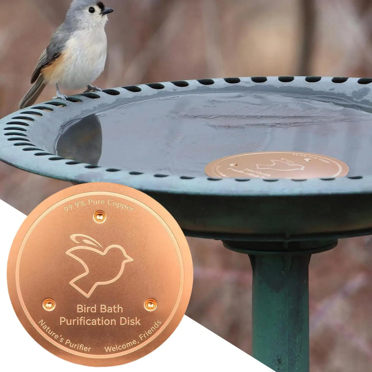Copper Bird Bath Disk | Triple-Point Outdoor Water Bowl Bird Bath Dish Babs