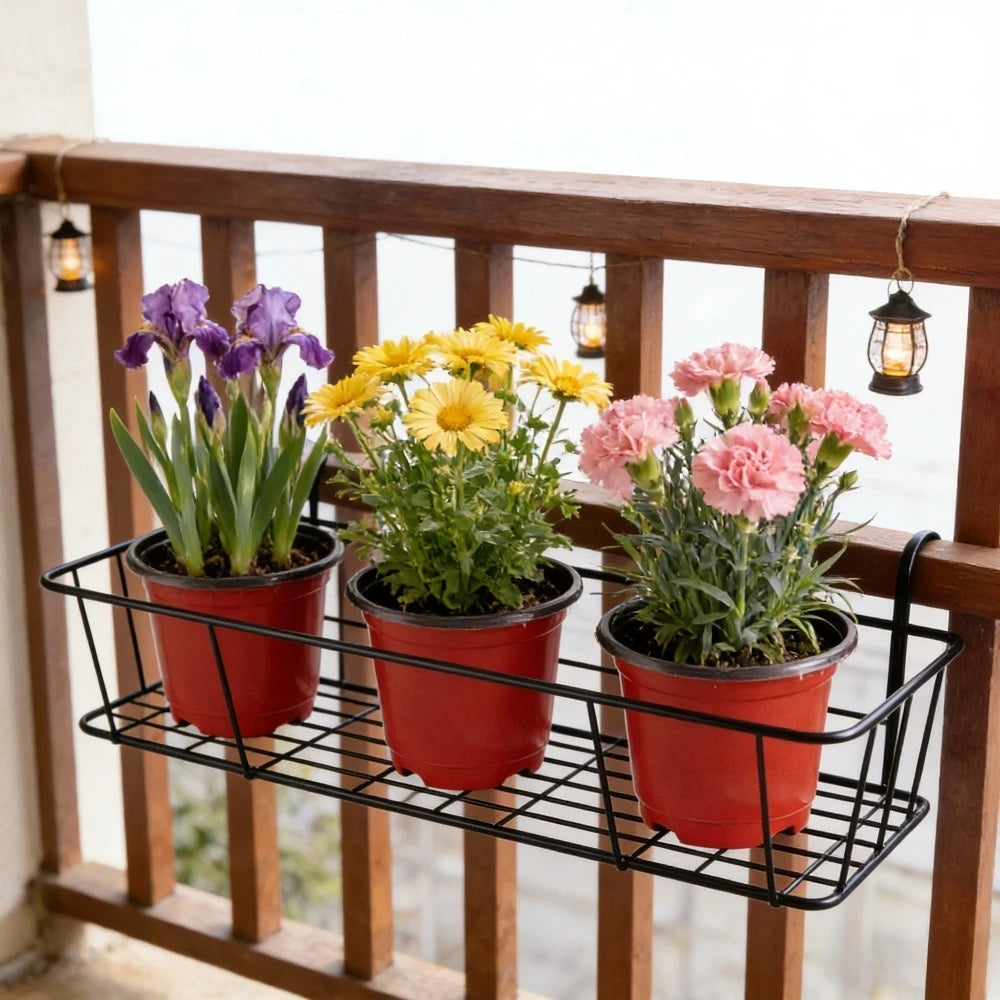 18-Pc Plant Nursery Pots with Humidity Dome Lids – Clear PET Nursery Pot Set Babs
