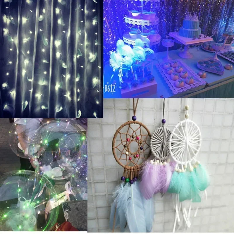 Natural Craft Feathers 7–15cm | Dream Catchers, DIY & Weddings Craft Feathers Babs
