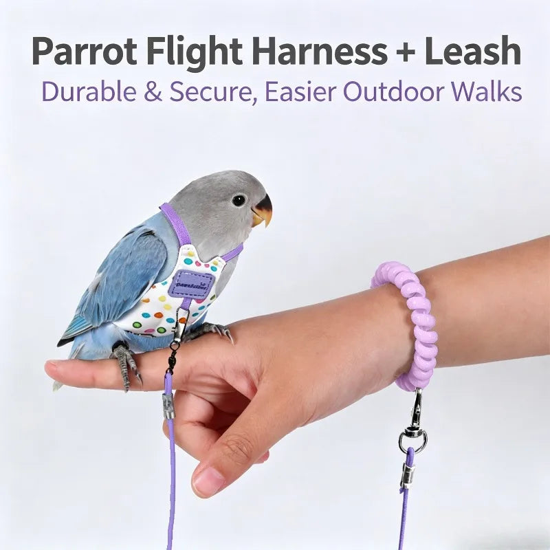 Parrot Flight Harness & Leash for Budgie & Lovebird Outdoor Bird Flight Harness Babs