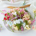 50/100pcs Silk Plum Blossom Artificial Flowers – Party & Wedding Decor Artificial Silk Flowers Babs MULTI 100pcs