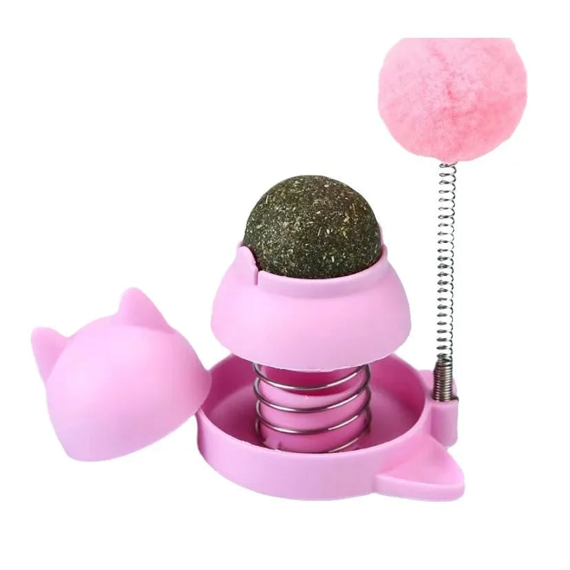 2pcs Interactive Spring Cat Toy with Catnip Ball & Pom-pom Interactive Cat Toy Babs