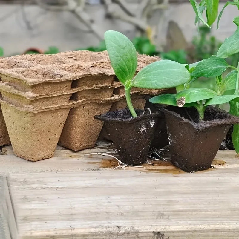 10-Cell Biodegradable Seed Starter Tray | Eco Paper Pulp Nursery Seed Starter Tray Babs