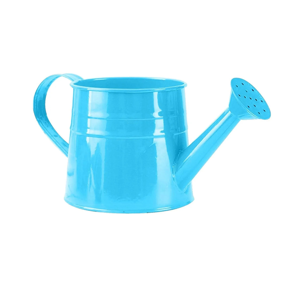 Metal Garden Watering Can – Extended Nozzle, Indoor & Outdoor Garden Watering Can Babs Blue