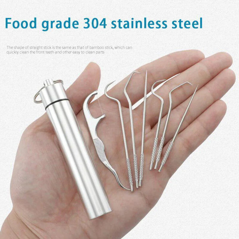 Reusable Stainless Steel Toothpick Set – Portable Oral Cleaner Reusable Toothpick Set Babs