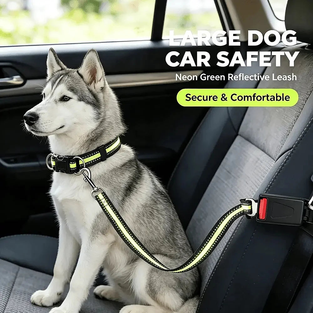 2-in-1 Dog Car Seat Belt & Headrest Harness – Adjustable Nylon Dog Car Harness Babs