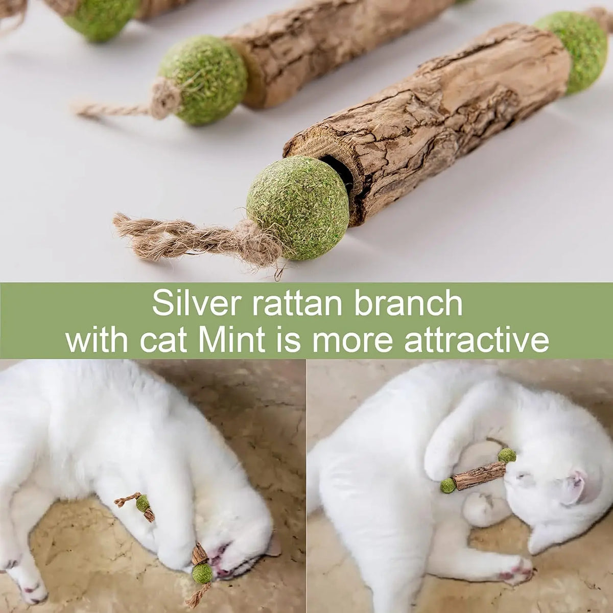 Natural Catnip & Silvervine Molar Chew Sticks for Cats Cat Chew Toy Babs