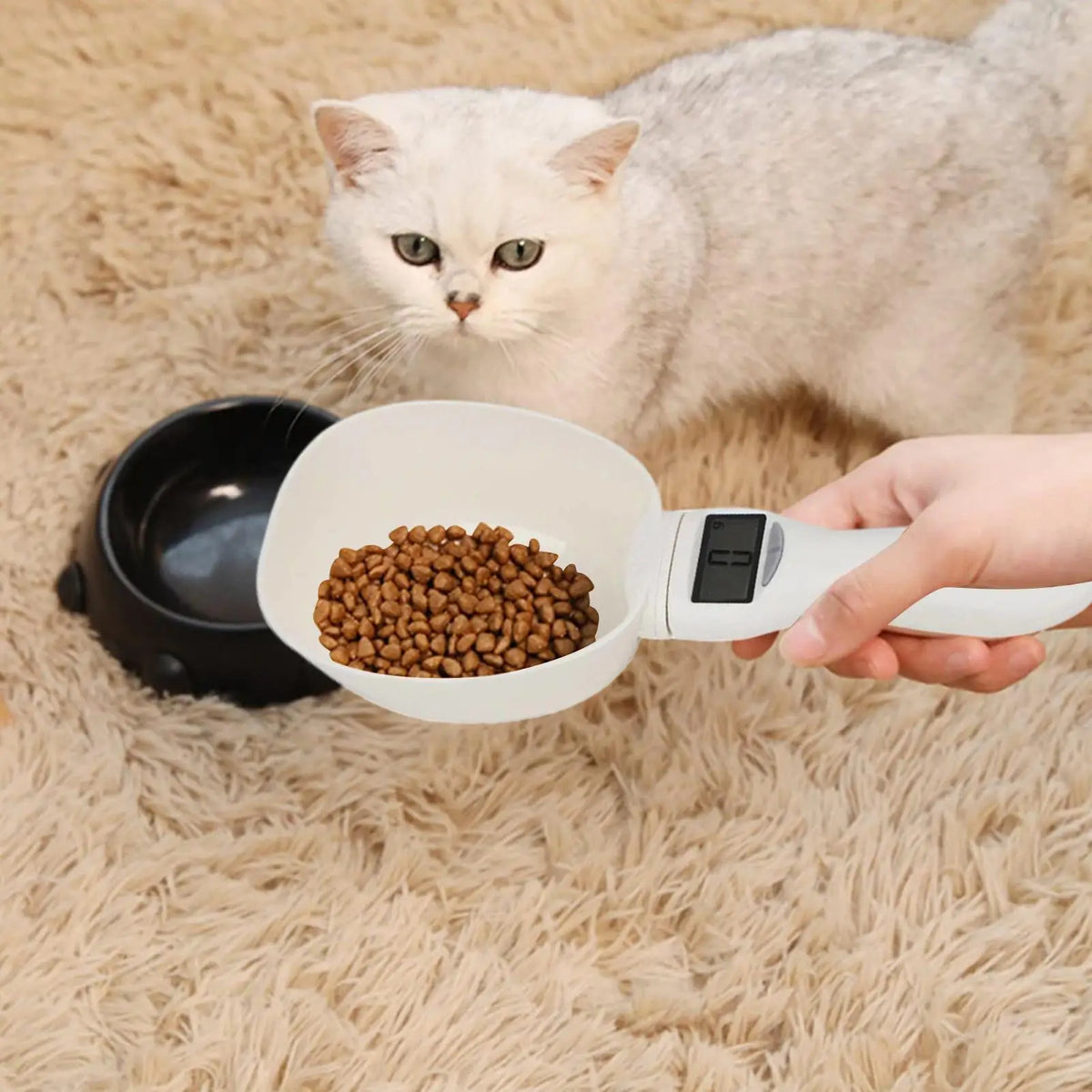Digital Measuring Spoon Scale – Kitchen & Pet Food, 1g Accuracy Digital Spoon Scale Babs