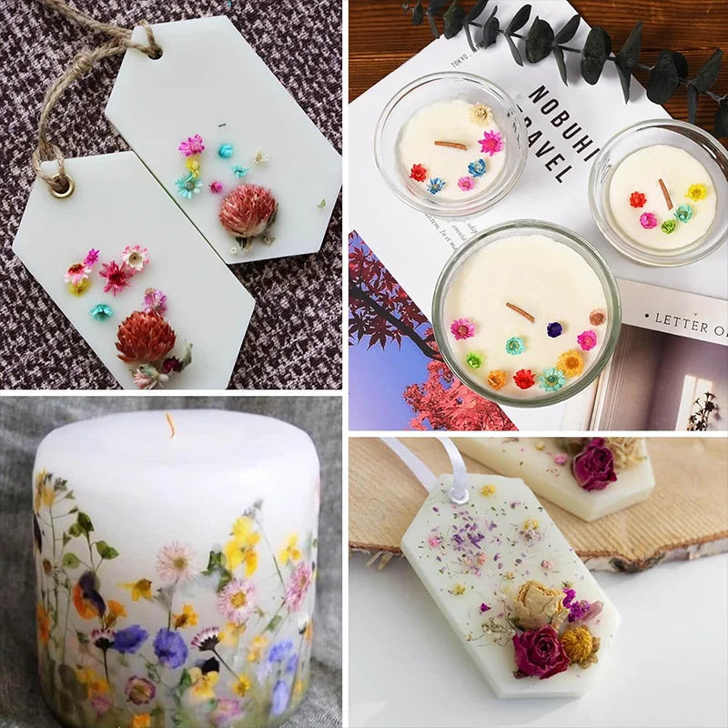 Dried Pressed Flowers 140 Heads – Resin, Nail Art & DIY Crafts Dried Pressed Flowers Babs