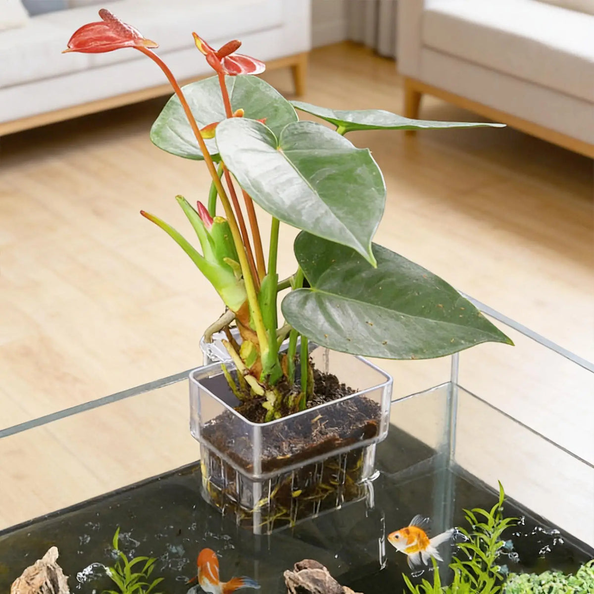 Aquarium Plant Basket – Transparent Fish Tank Hanging Planter Aquarium Plant Holder Babs