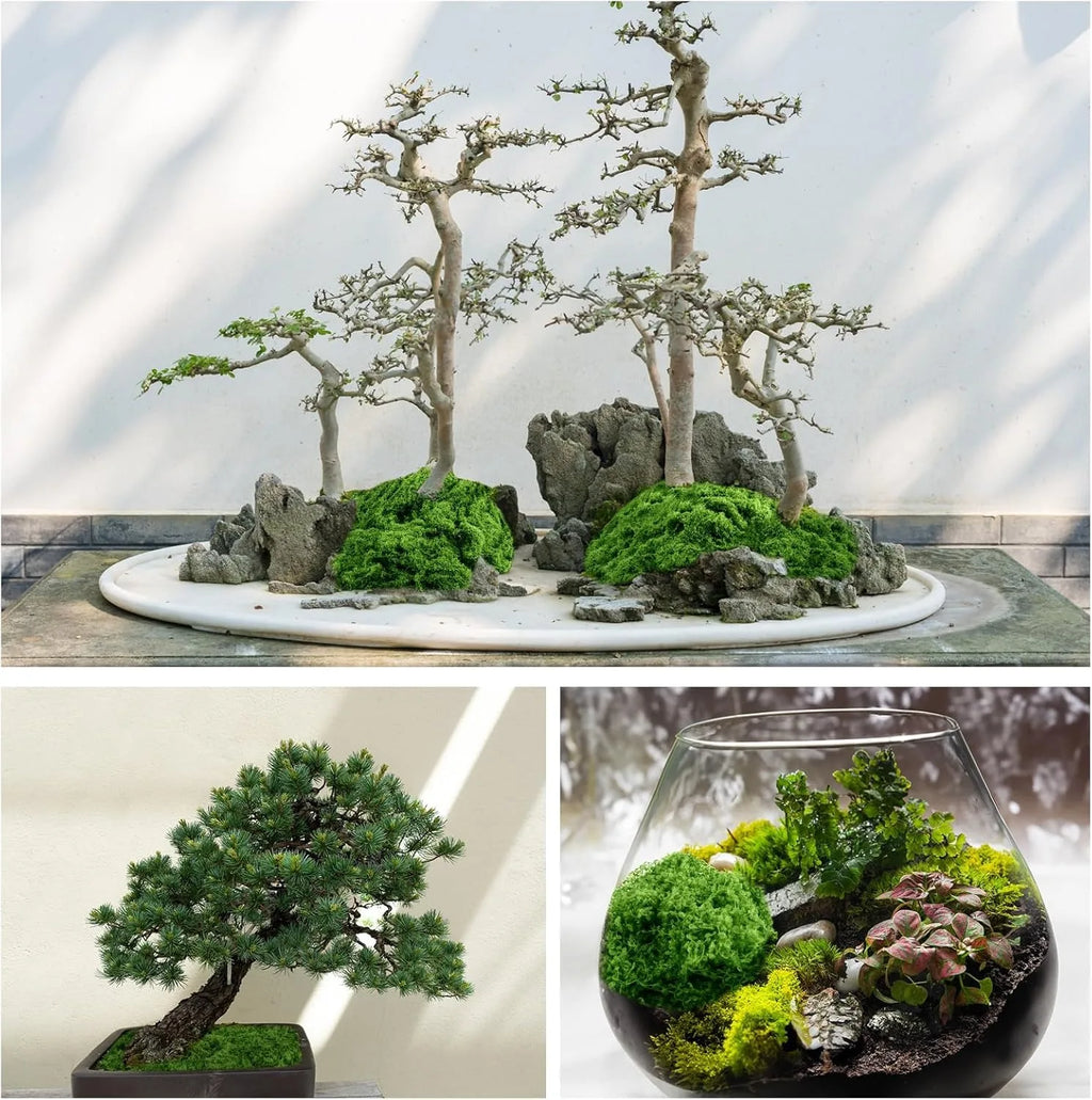 Artificial Faux Moss for DIY Crafts, Home & Garden Decor Artificial Moss Decor Babs