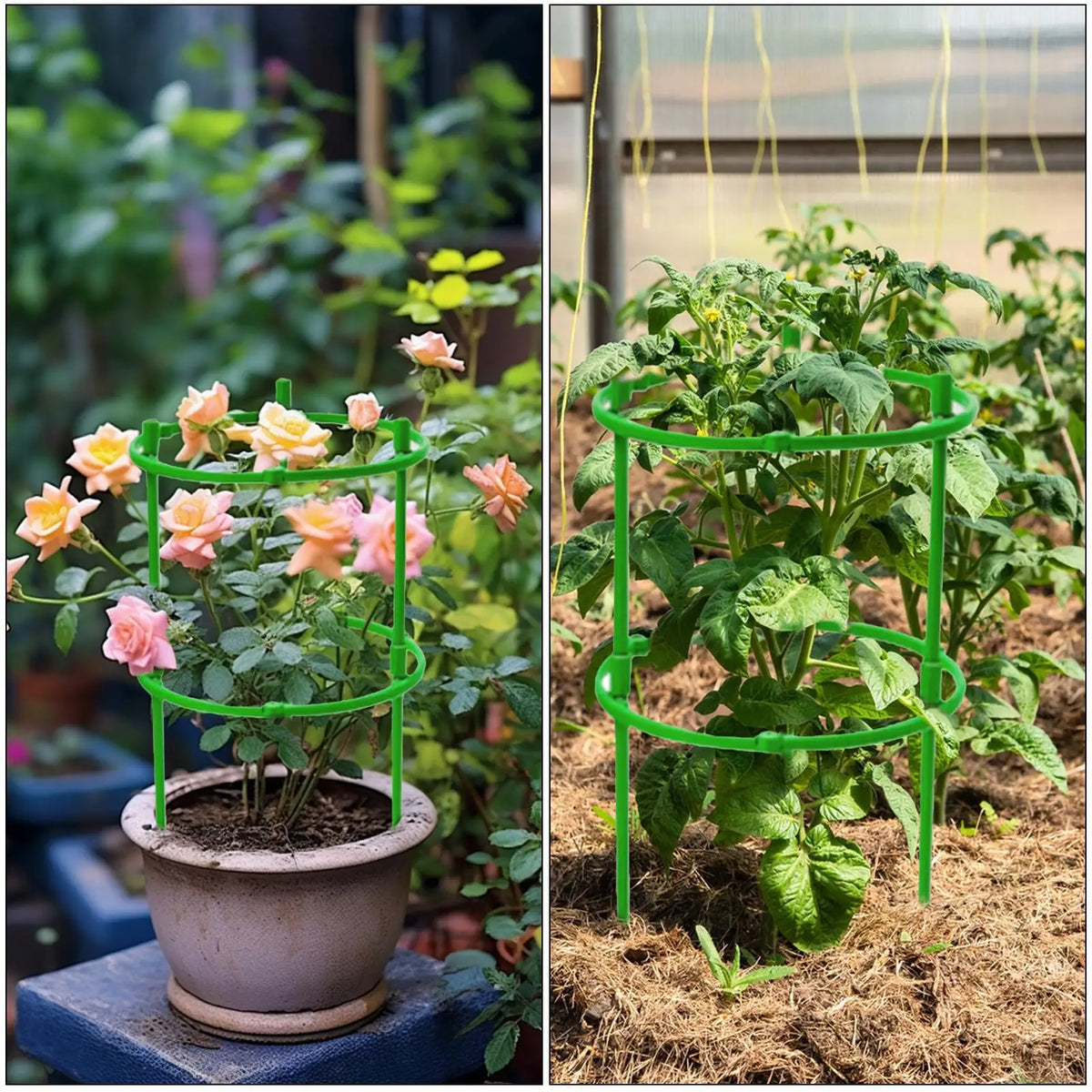 Plant Support Cage – Semicircle Vine Climbing Bracket Plant Support Cage Babs