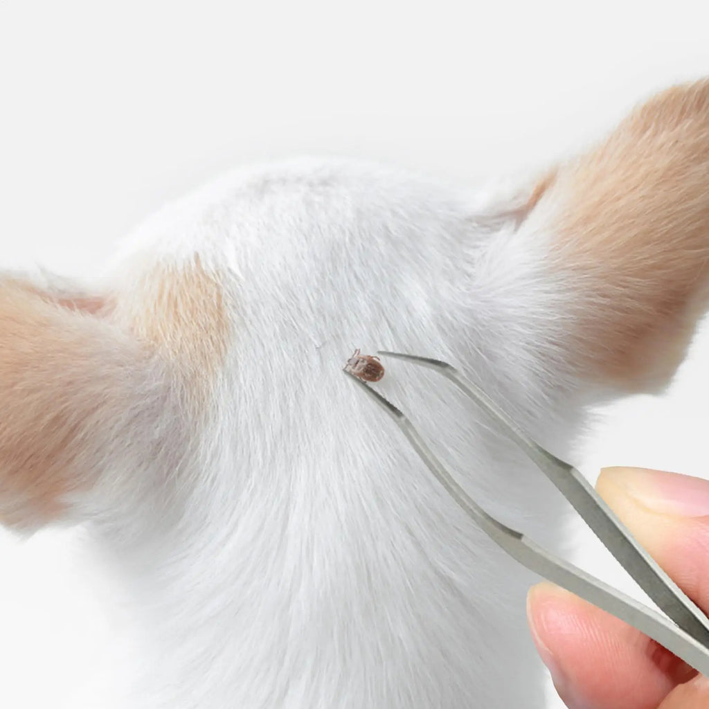 2-in-1 Stainless Steel Tick Remover Tool for Dogs & Cats Tick Remover Tool Babs