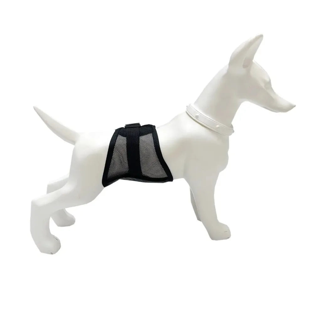 Breathable Mesh Dog Physiological Pants – Reusable Pet Underwear Dog Physiological Pants Babs